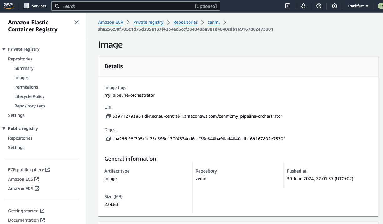 Elastic Container Registry integration screenshot