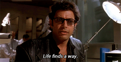 GIF of the 'life finds a way' meme from Jurassic Park.