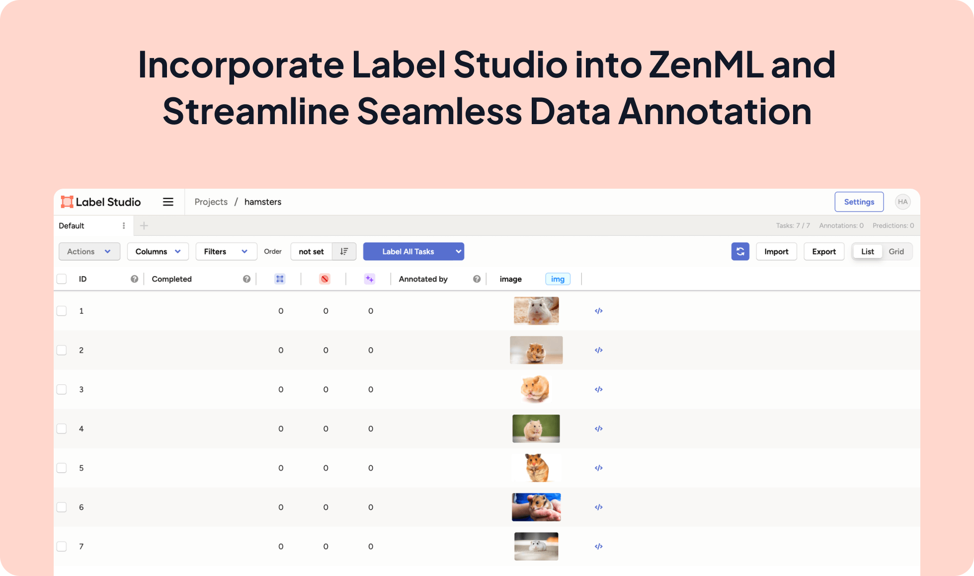 Label Studio integration screenshot