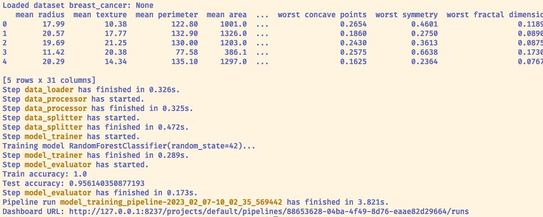 Template starter project run